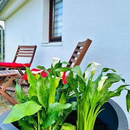 Apartment In - Brinckmansdorf