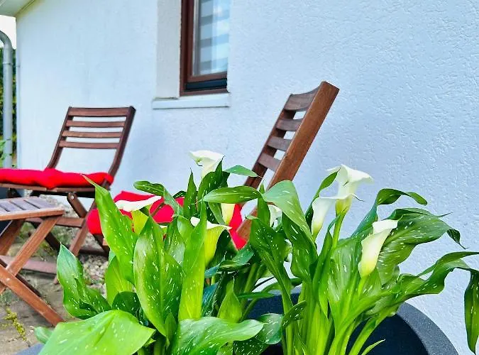 アパート In - Brinckmansdorf